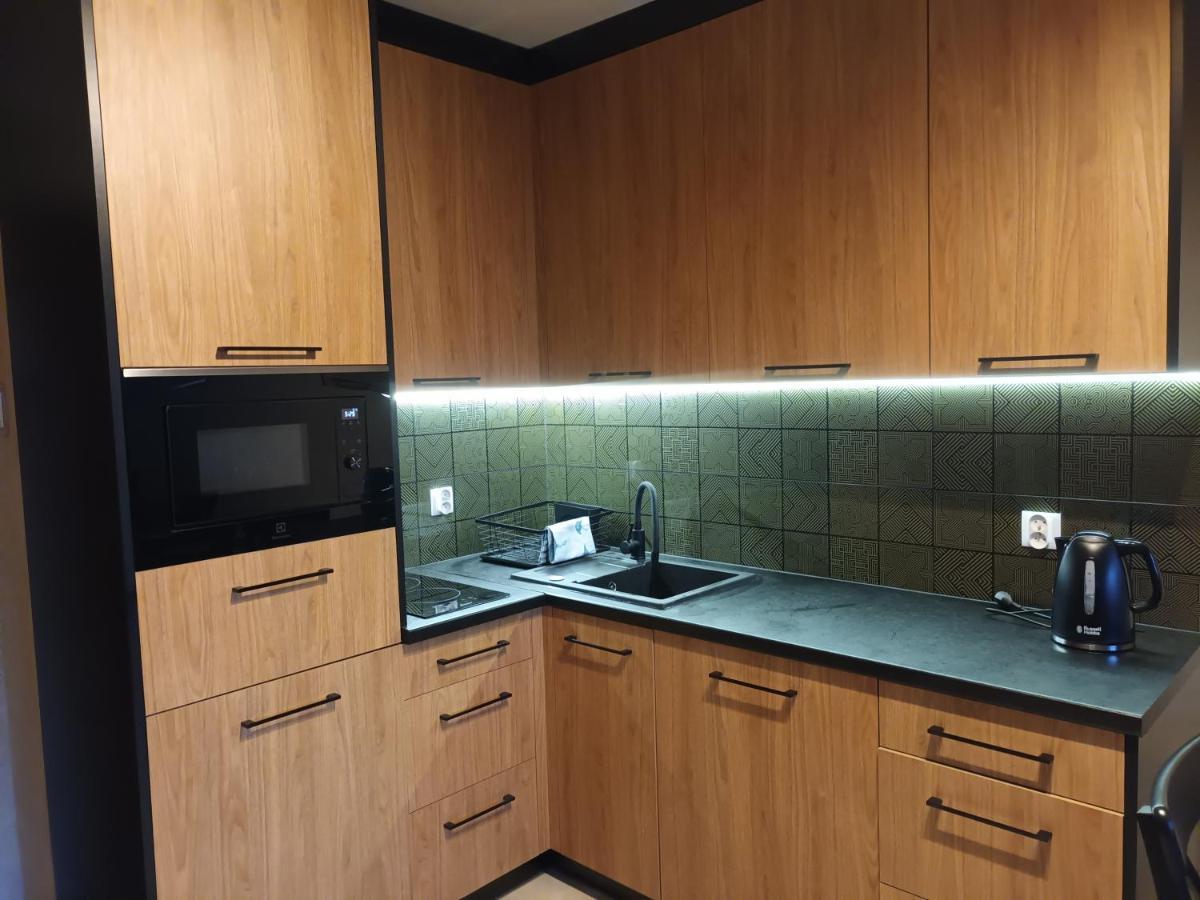 Green Apartament W Centrum Varsó Kültér fotó